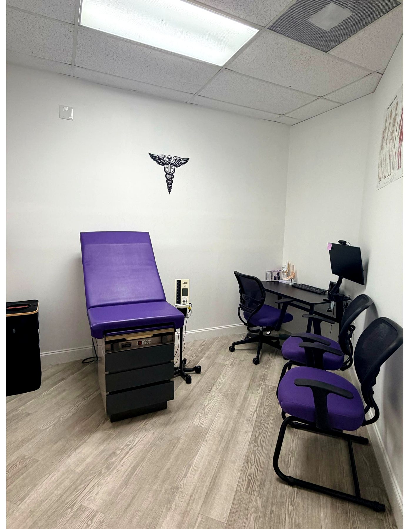A private examination room with a purple exam table, physician desk and anatomy chart